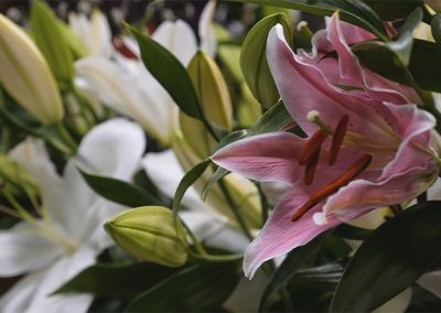 Floristería El Jardín de la Abuela