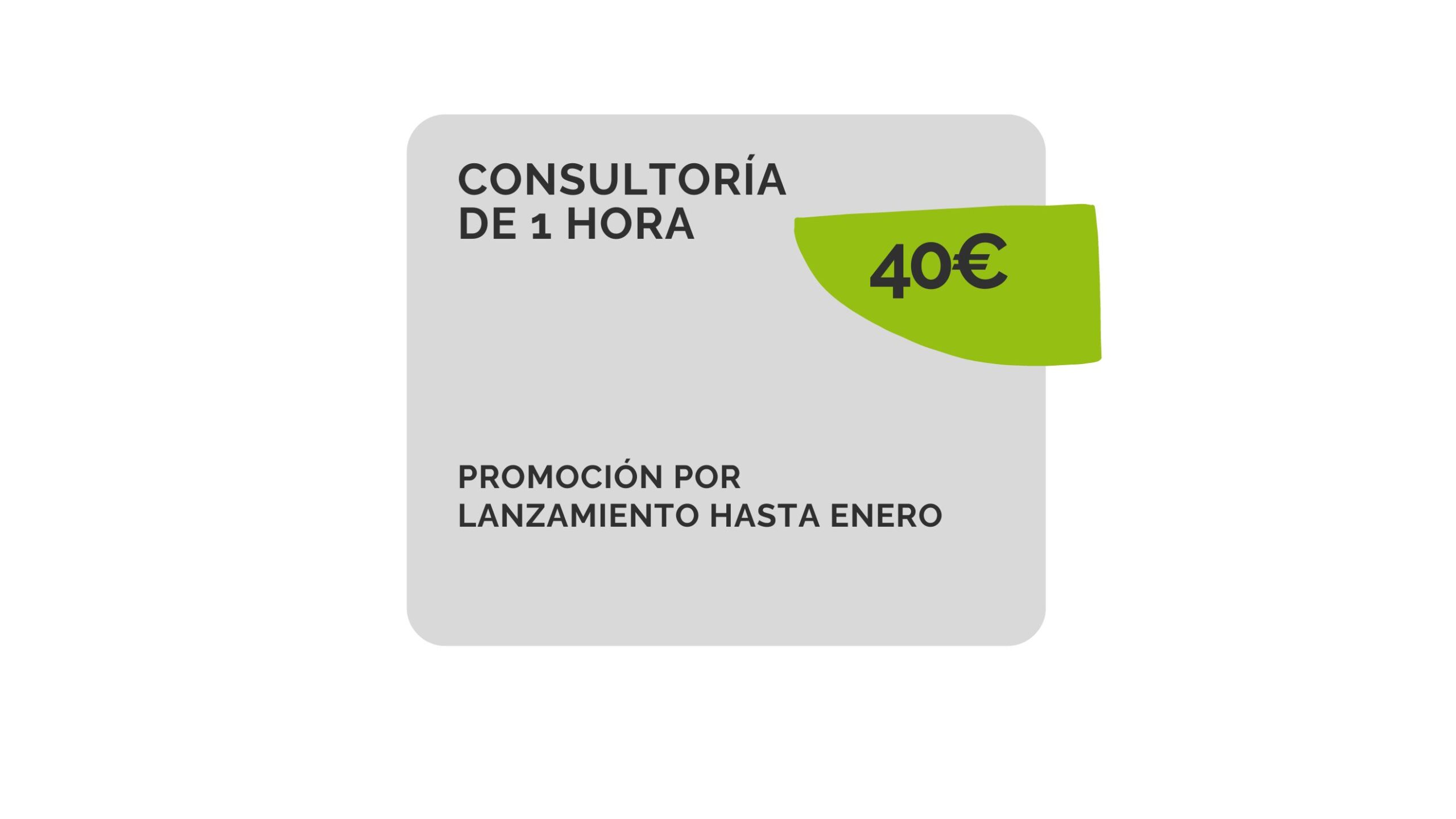 consultorías de 1 hora